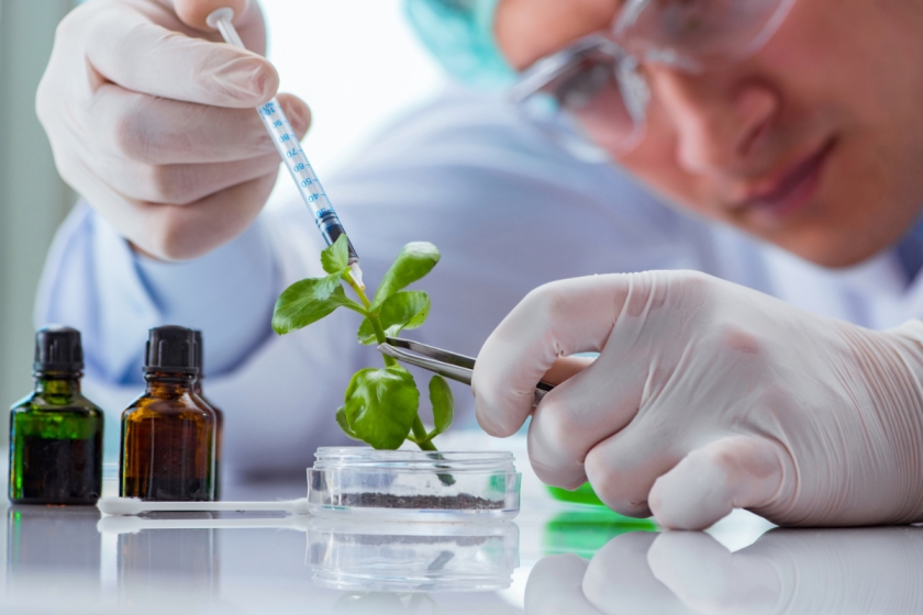 Plant Biotechnology Equipment Market